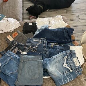 Assorted Denim Jeans Collection